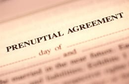 Prenuptial And Partnership Agreement