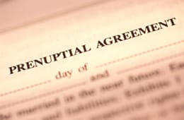 Prenuptial And Partnership Agreement
